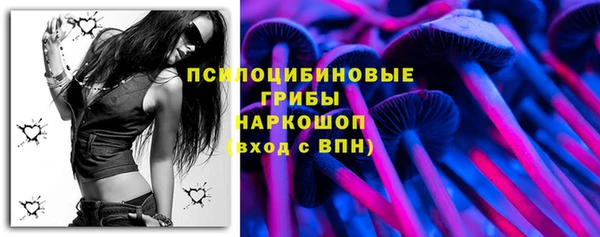 спиды Горнозаводск