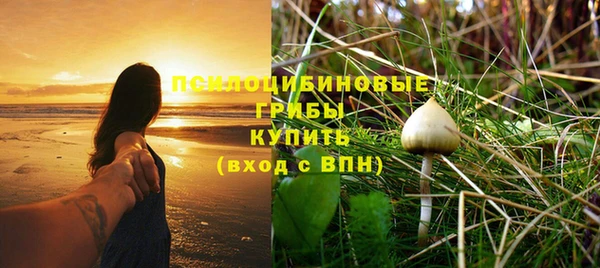 спиды Горнозаводск