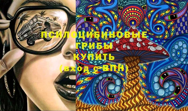 a pvp Горняк