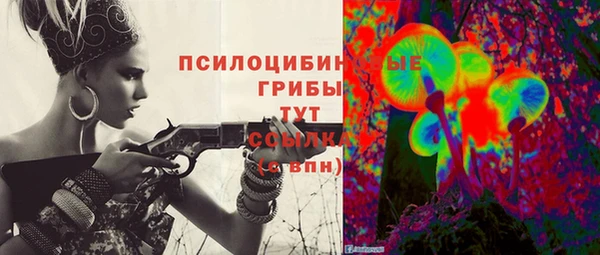 a pvp Горняк