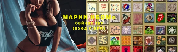 a pvp Горняк
